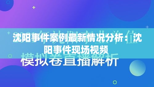 沈阳事件案例最新情况分析：沈阳事件现场视频 