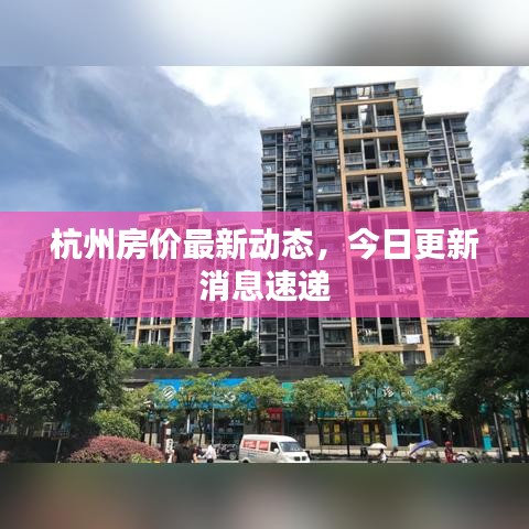 杭州房价最新动态，今日更新消息速递