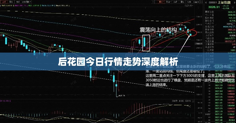 后花园今日行情走势深度解析