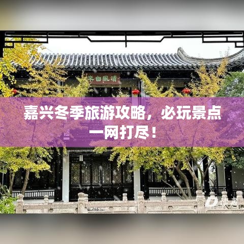 嘉兴冬季旅游攻略，必玩景点一网打尽！