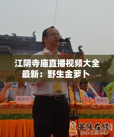 江阴寺庙直播视频大全最新：野生金萝卜 