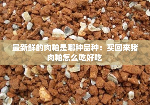 最新鲜的肉粕是哪种品种：买回来猪肉粕怎么吃好吃 