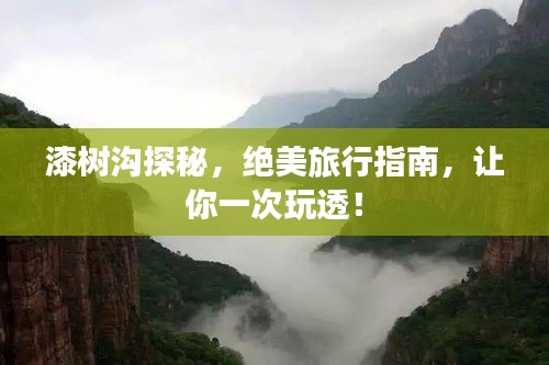 昙花一现 第3页