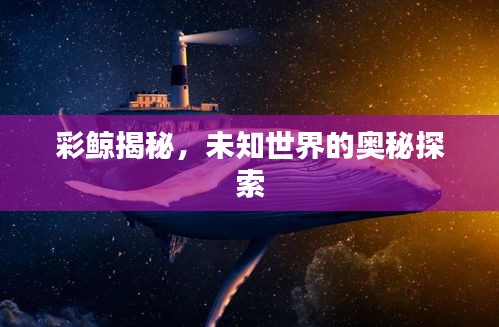 彩鲸揭秘，未知世界的奥秘探索