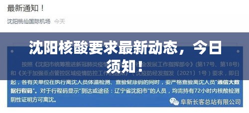 鸟惊鱼骇 第2页