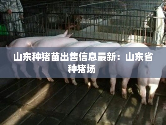山东种猪苗出售信息最新：山东省种猪场 