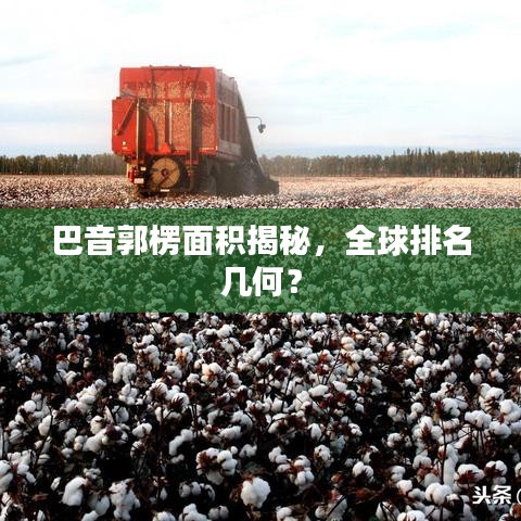 巴音郭楞面积揭秘，全球排名几何？