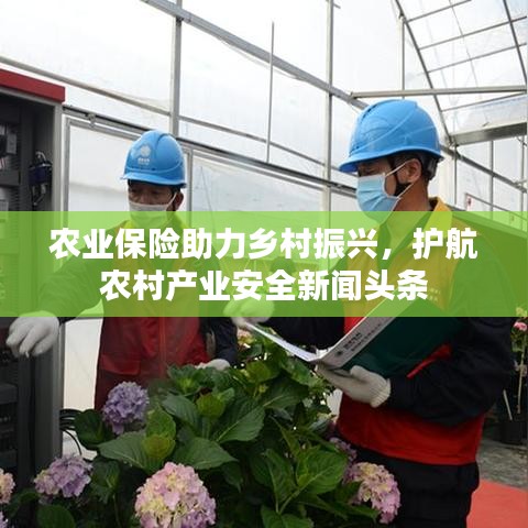 农业保险助力乡村振兴，护航农村产业安全新闻头条