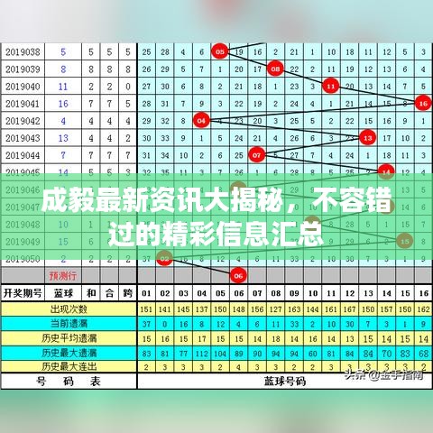 成毅最新资讯大揭秘，不容错过的精彩信息汇总