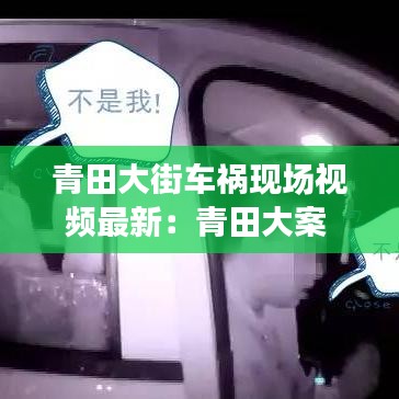 青田大街车祸现场视频最新：青田大案 