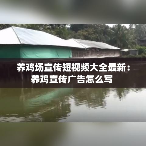 囊萤映雪 第2页