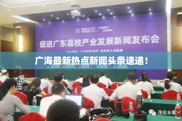 广海最新热点新闻头条速递！