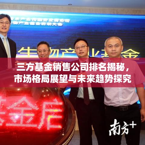 三方基金销售公司排名揭秘，市场格局展望与未来趋势探究