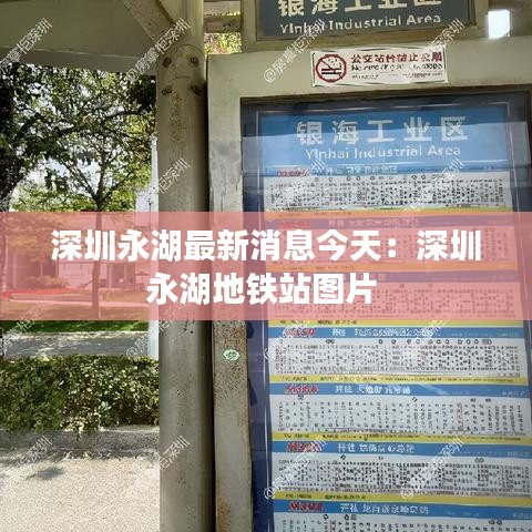 深圳永湖最新消息今天：深圳永湖地铁站图片 