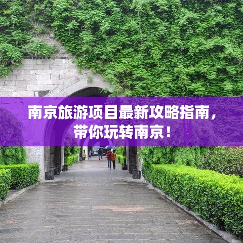 南京旅游项目最新攻略指南，带你玩转南京！