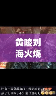 黄陵刘海火烧事件最新进展揭秘，视频报道持续更新
