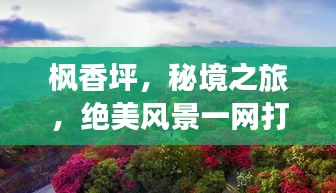 枫香坪，秘境之旅，绝美风景一网打尽！旅游攻略大揭秘！
