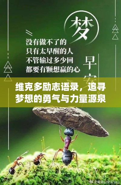 维克多励志语录，追寻梦想的勇气与力量源泉！