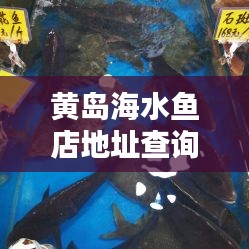 黄岛海水鱼店地址查询最新：黄岛开发区水族馆 