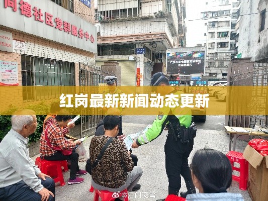红岗最新新闻动态更新