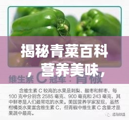揭秘青菜百科，营养美味，健康必备！百度带你探索青菜的世界！