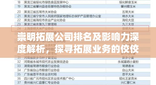 崇明拓展公司排名及影响力深度解析，探寻拓展业务的佼佼者