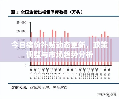 今日猪价补贴动态更新，政策调整与市场趋势分析