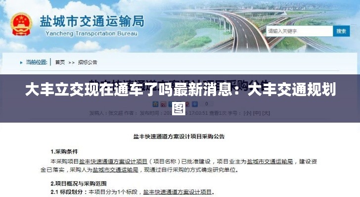 大丰立交现在通车了吗最新消息：大丰交通规划图 