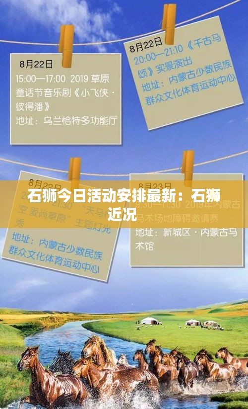 石狮今日活动安排最新：石狮近况 