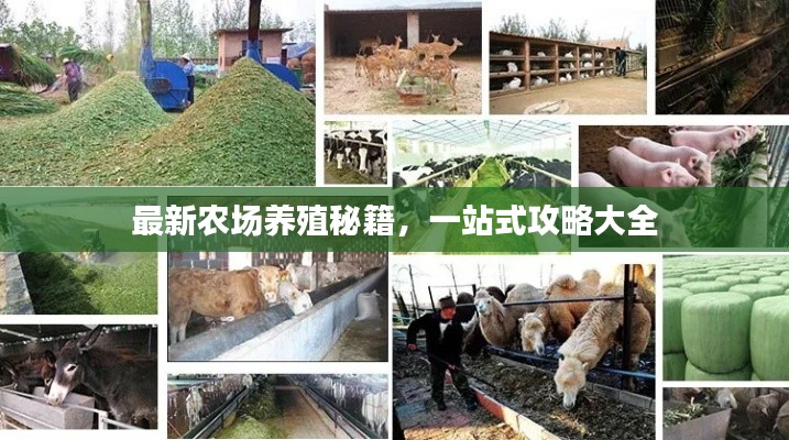 最新农场养殖秘籍，一站式攻略大全