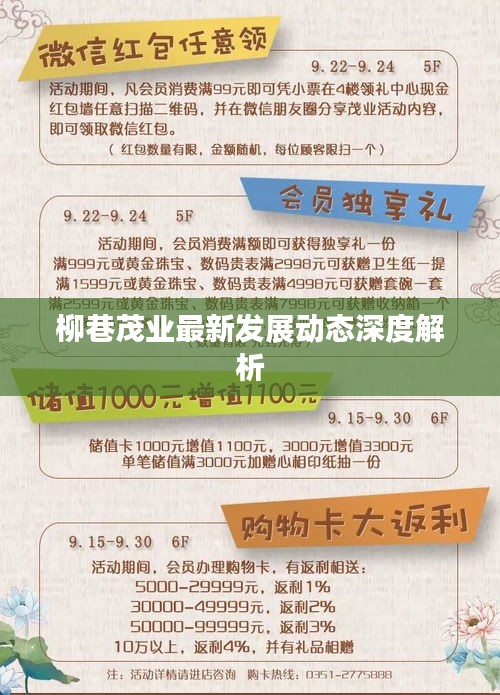 柳巷茂业最新发展动态深度解析