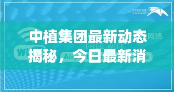 中植集团最新动态揭秘，今日最新消息一览