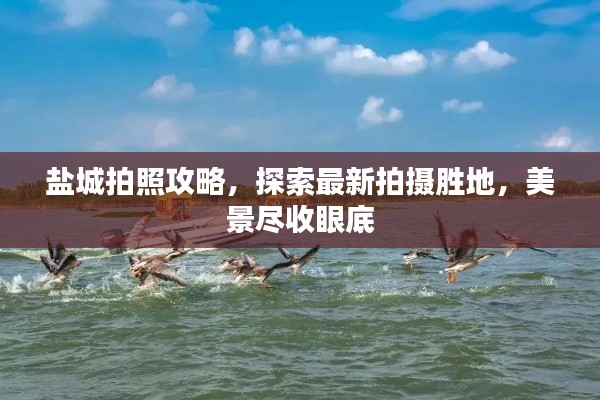 盐城拍照攻略，探索最新拍摄胜地，美景尽收眼底