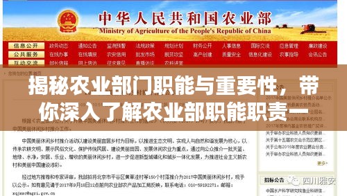 揭秘农业部门职能与重要性，带你深入了解农业部职能职责一网打尽！