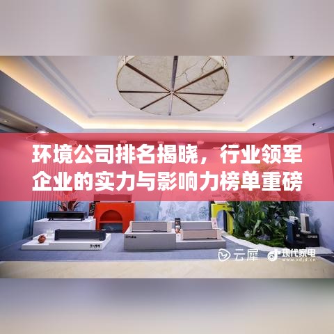 环境公司排名揭晓，行业领军企业的实力与影响力榜单重磅出炉！
