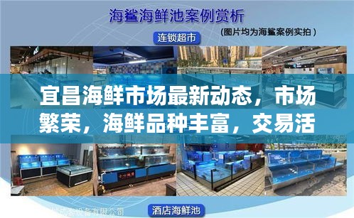 宜昌海鲜市场最新动态，市场繁荣，海鲜品种丰富，交易活跃！