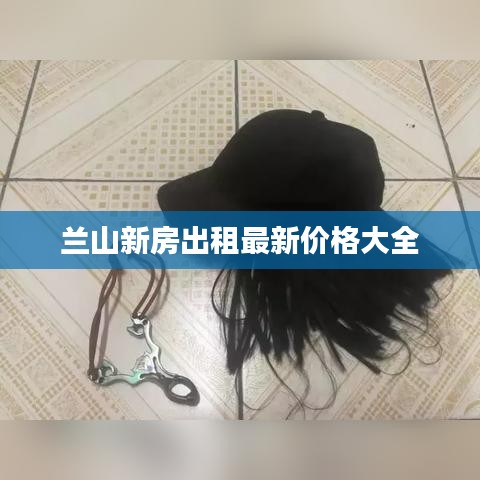 富贵浮云 第2页