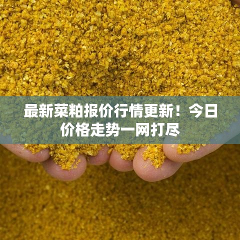 最新菜粕报价行情更新！今日价格走势一网打尽