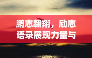 鹏志翱翔，励志语录展现力量与决心