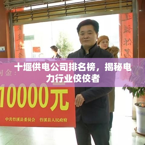 十堰供电公司排名榜，揭秘电力行业佼佼者