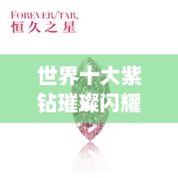 披沙拣金 第2页