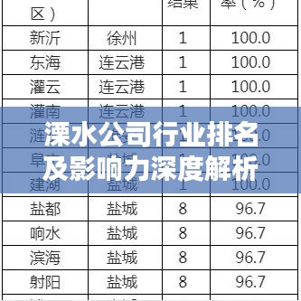 溧水公司行业排名及影响力深度解析
