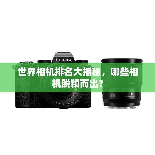 白璧无瑕 第2页