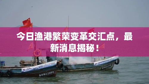 今日渔港繁荣变革交汇点，最新消息揭秘！