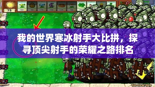 我的世界寒冰射手大比拼，探寻顶尖射手的荣耀之路排名