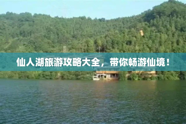 眼空四海 第2页