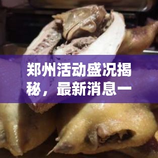 郑州活动盛况揭秘，最新消息一网打尽