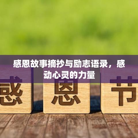 感恩故事摘抄与励志语录，感动心灵的力量