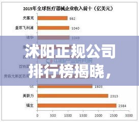 沭阳正规公司排行榜揭晓，行业巨头齐聚，看看你的公司上榜了吗？