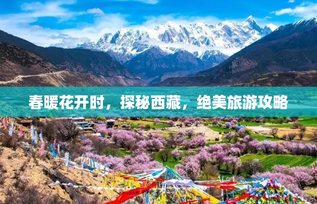 资料中心 第81页